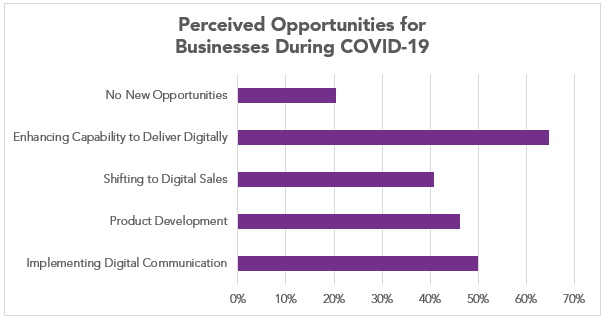 Perceived Opportunities for Businesses During COVID-19