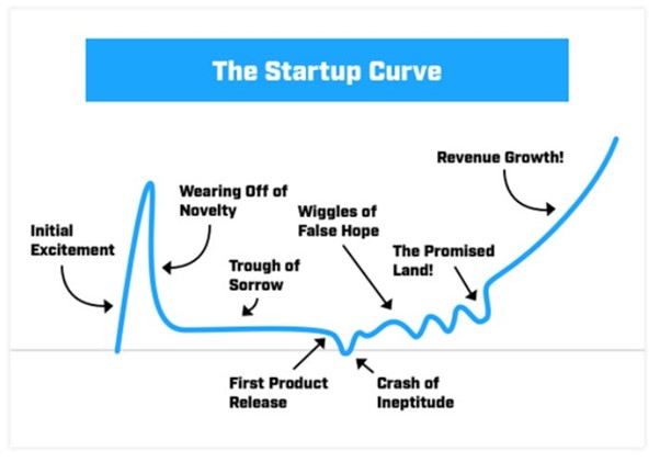 The Startup Curve